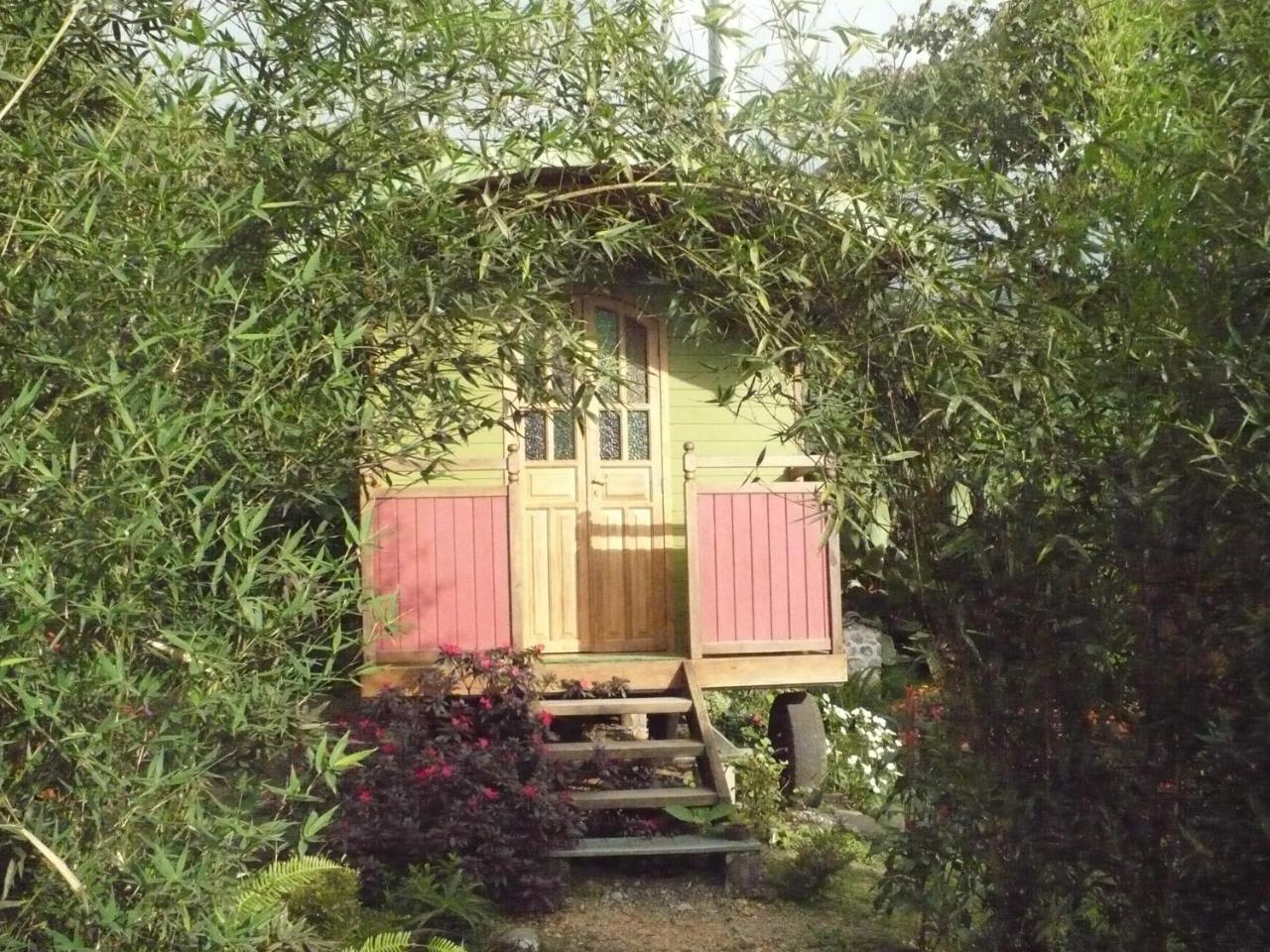 Hosteria La Roulotte - Миндо Экстерьер фото